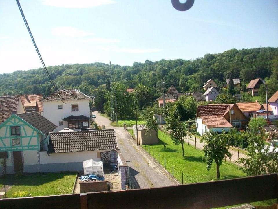 Gite Le Jardin De Hermolsheim. Alsace Tres Spacieux Mutzig Luaran gambar