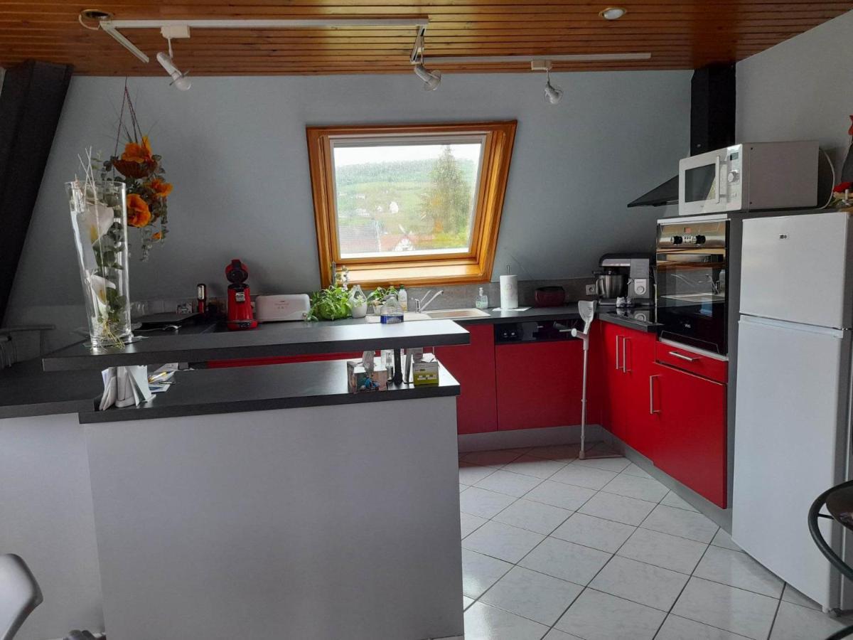 Gite Le Jardin De Hermolsheim. Alsace Tres Spacieux Mutzig Luaran gambar