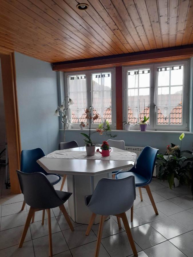 Gite Le Jardin De Hermolsheim. Alsace Tres Spacieux Mutzig Luaran gambar