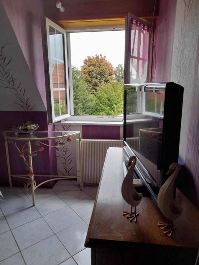 Gite Le Jardin De Hermolsheim. Alsace Tres Spacieux Mutzig Luaran gambar