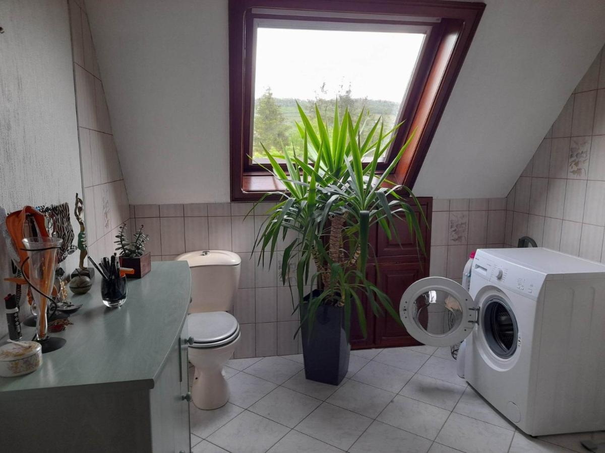 Gite Le Jardin De Hermolsheim. Alsace Tres Spacieux Mutzig Luaran gambar