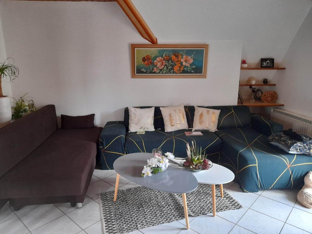 Gite Le Jardin De Hermolsheim. Alsace Tres Spacieux Mutzig Luaran gambar
