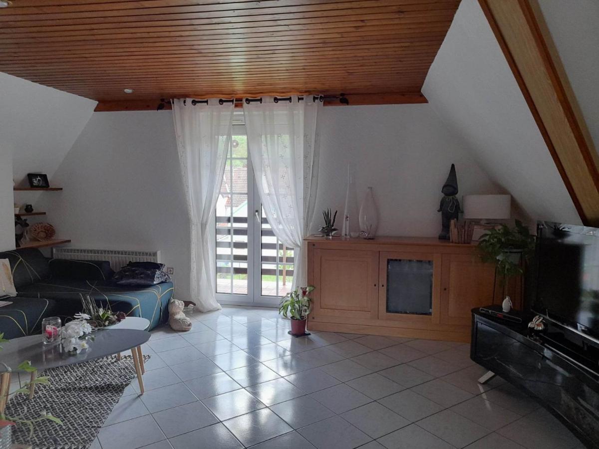 Gite Le Jardin De Hermolsheim. Alsace Tres Spacieux Mutzig Luaran gambar